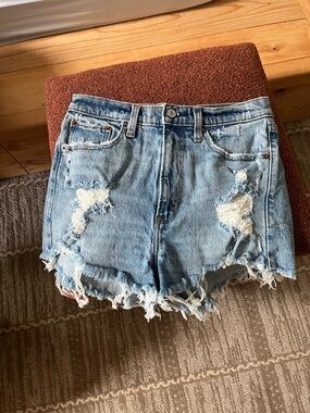 Abercrombie & Fitch High Rise Mom Shorts